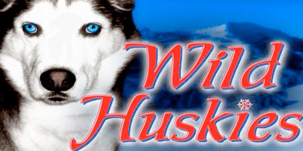 Щедрые хаски в игровом автомате Wild Huskies для игроков казино Вулкан 777