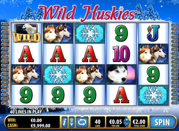 Щедрые хаски в игровом автомате Wild Huskies для игроков казино Вулкан 777
